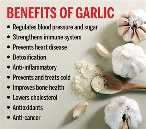 Health Benefits of Garlic .